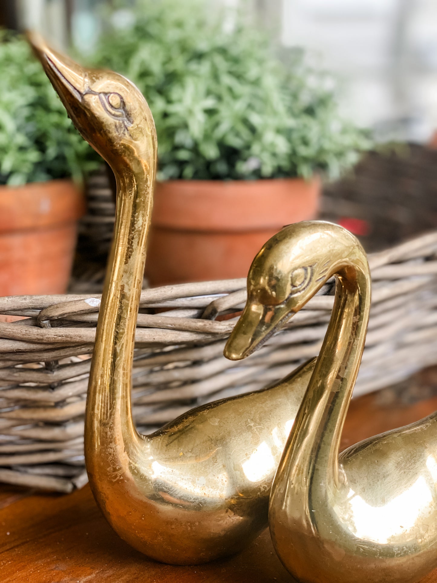 Pair of Brass Swans