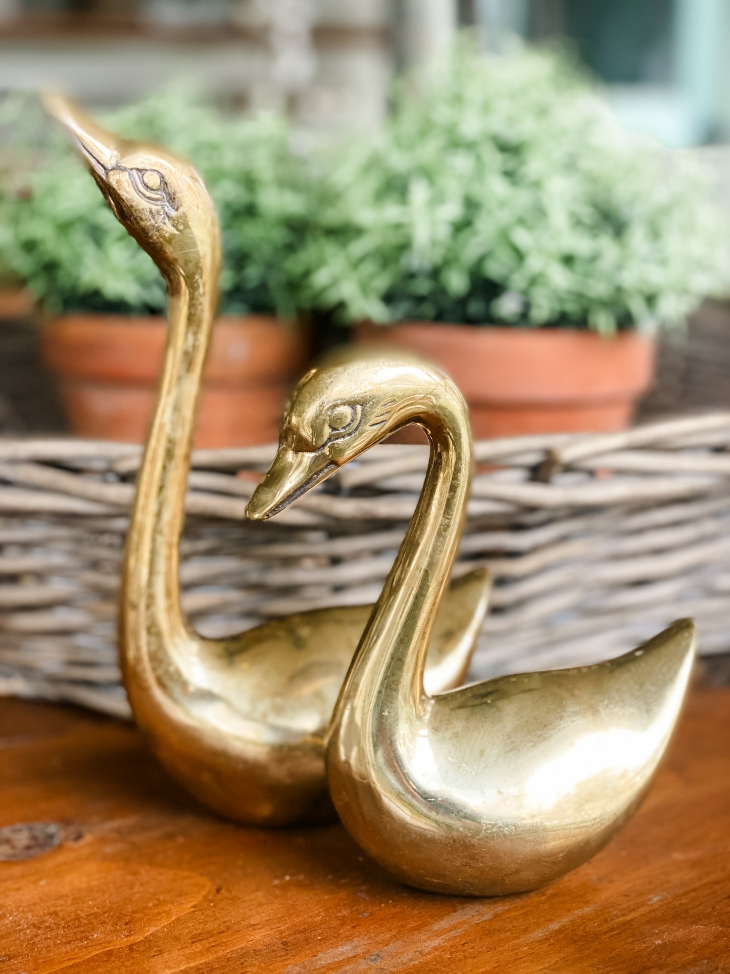 Pair of Brass Swans