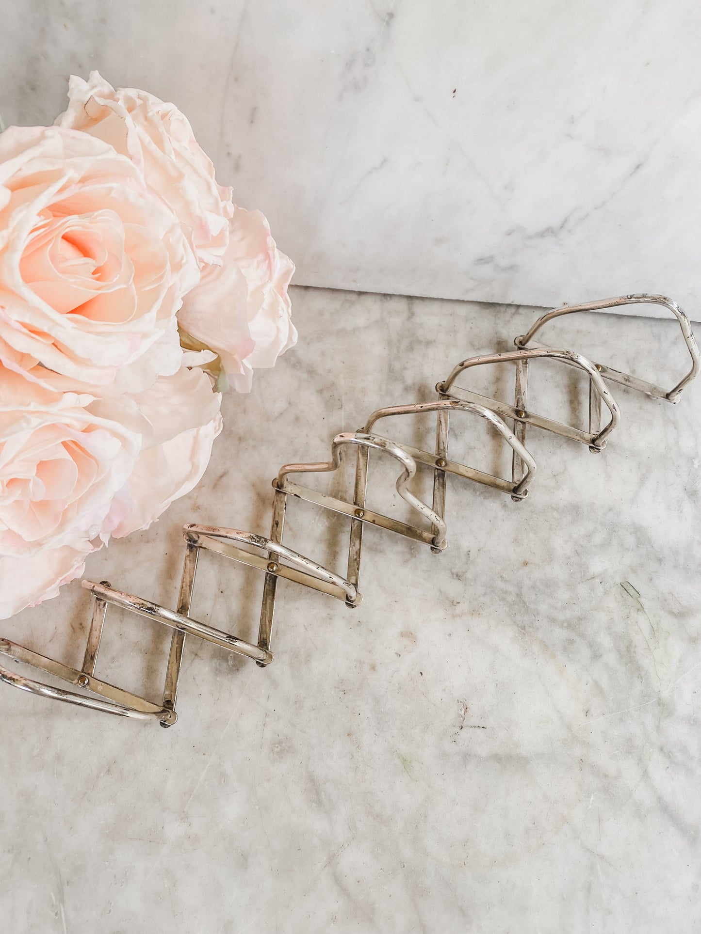 Expanding Toast Holder