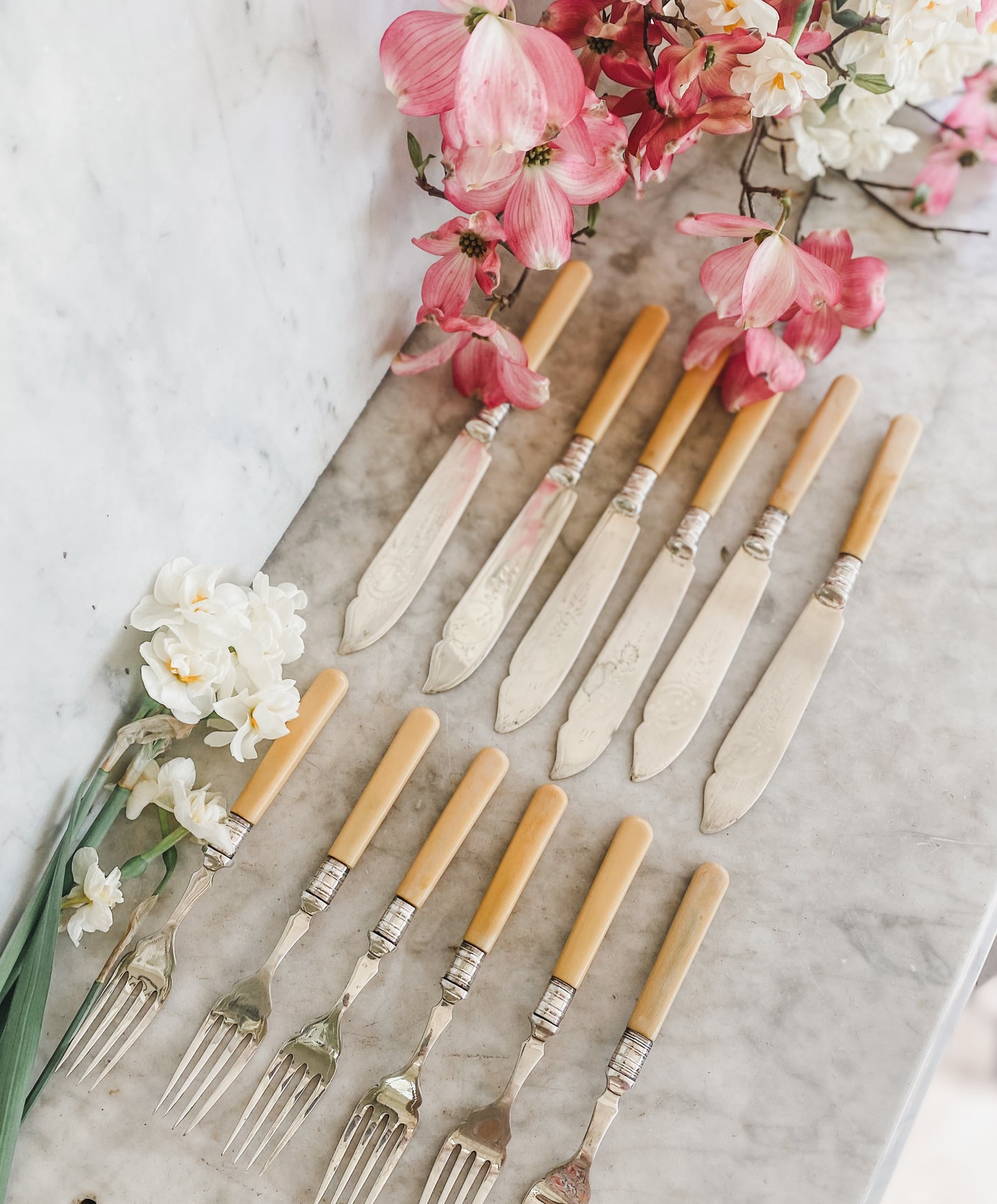 Antique Fish Serving Set | Service for 6 | 12 Pieces | EPNS