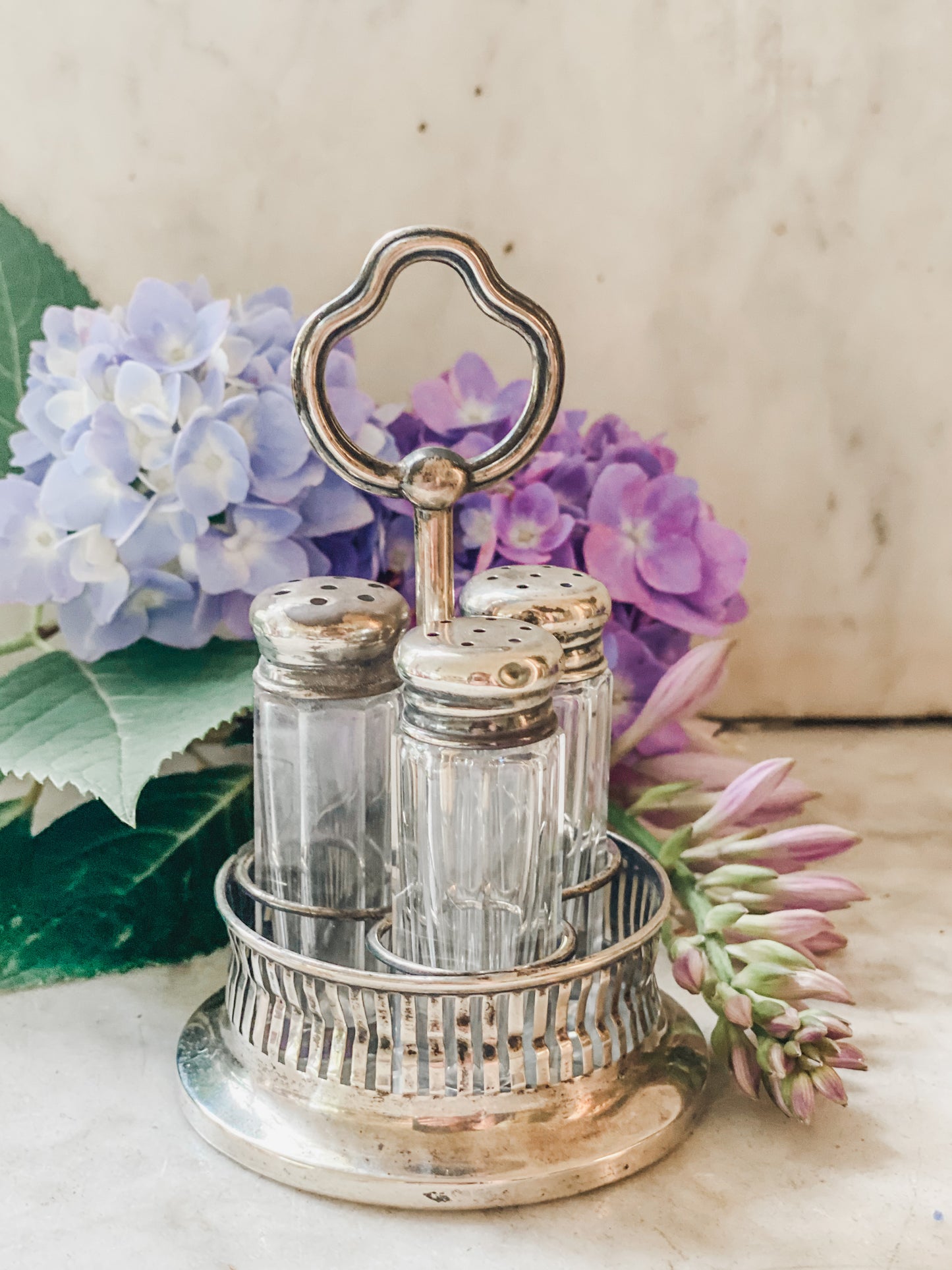 Sterling Silver Salt and Pepper Carrier