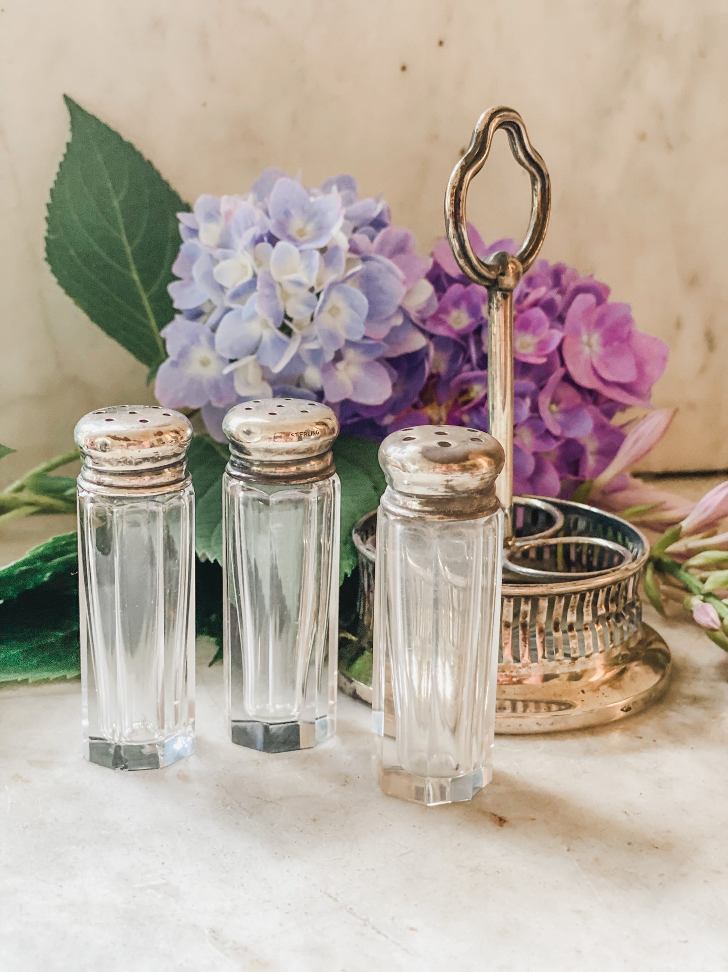 Sterling Silver Salt and Pepper Carrier