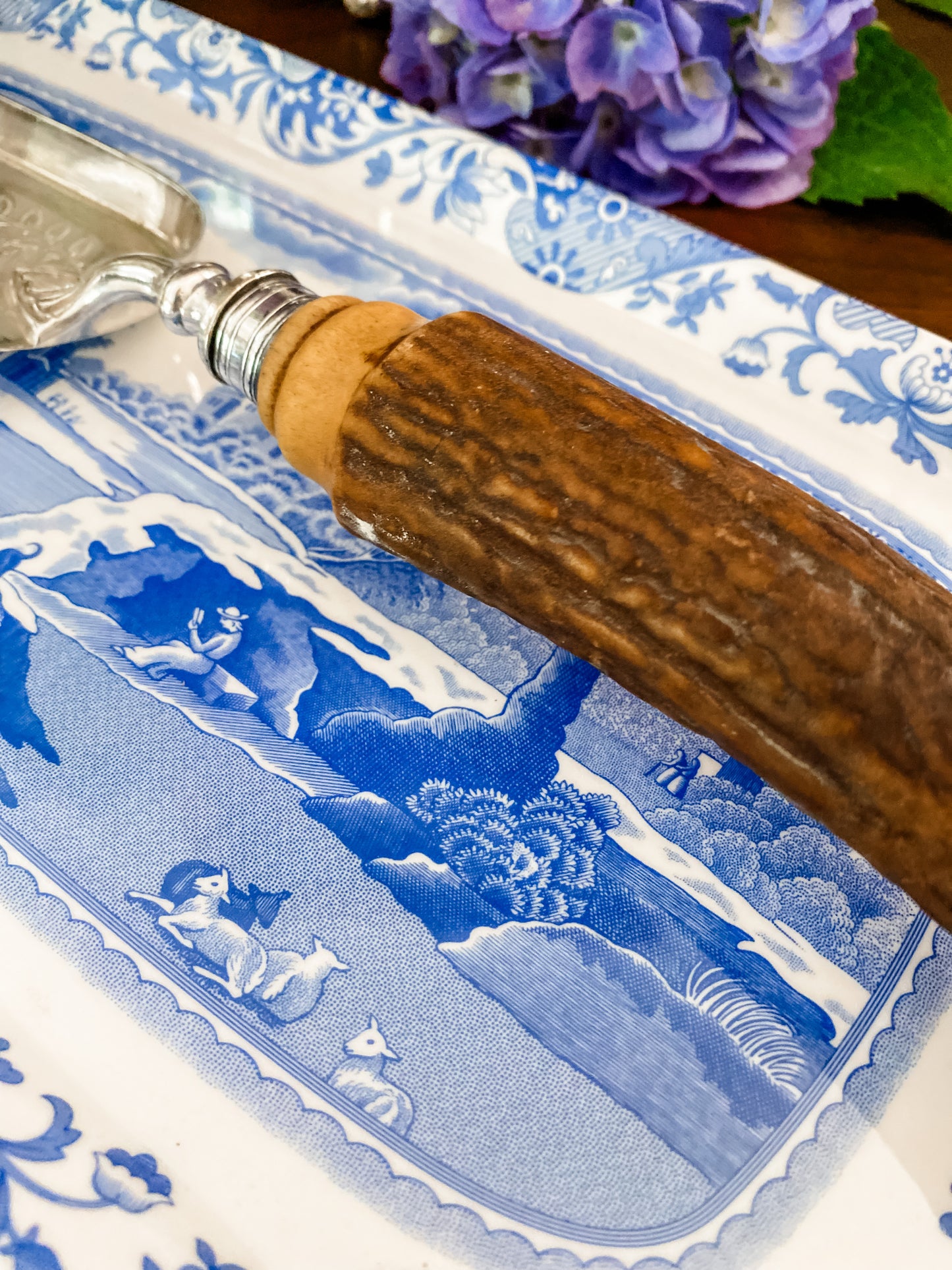 Fabulous!! English Staghorn Fish Server Etched with Butterflies from 1800's