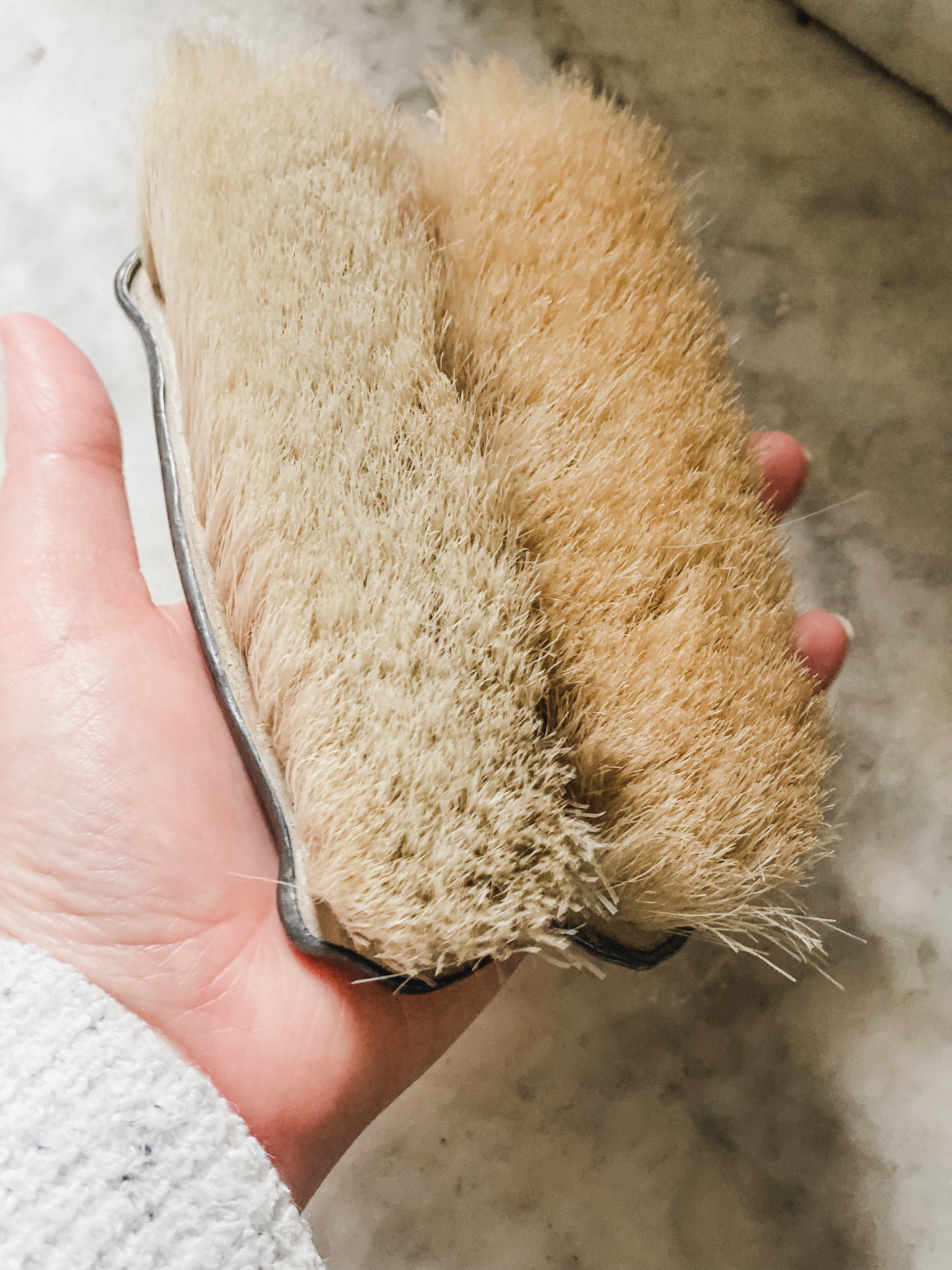 Pair of Victorian Clothes Brushes