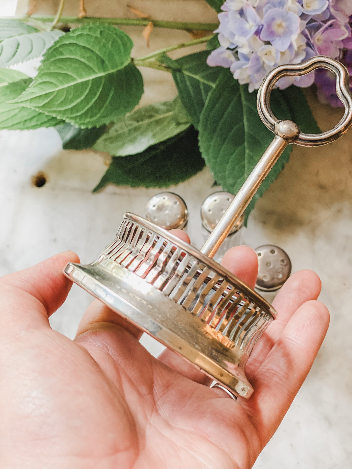 Sterling Silver Salt and Pepper Carrier