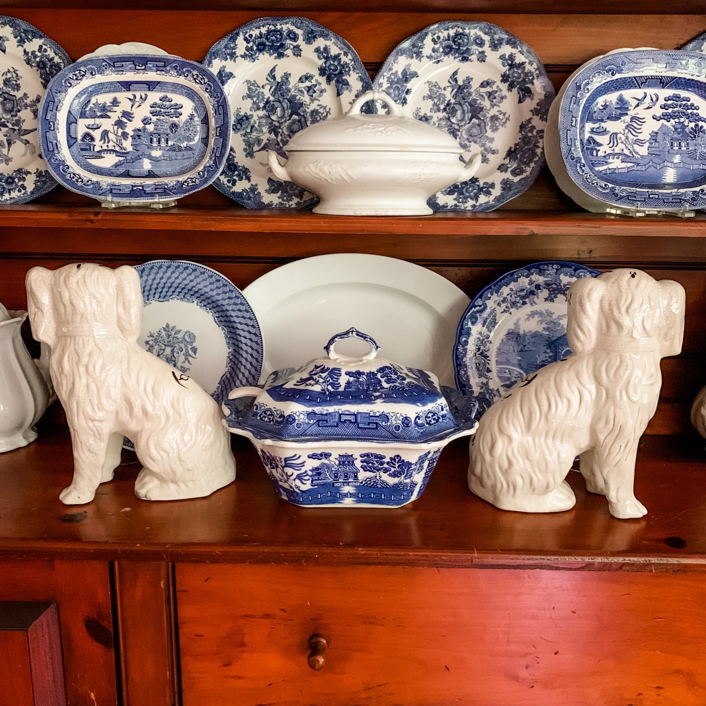 Amazing Staffordshire Dogs from Kent England