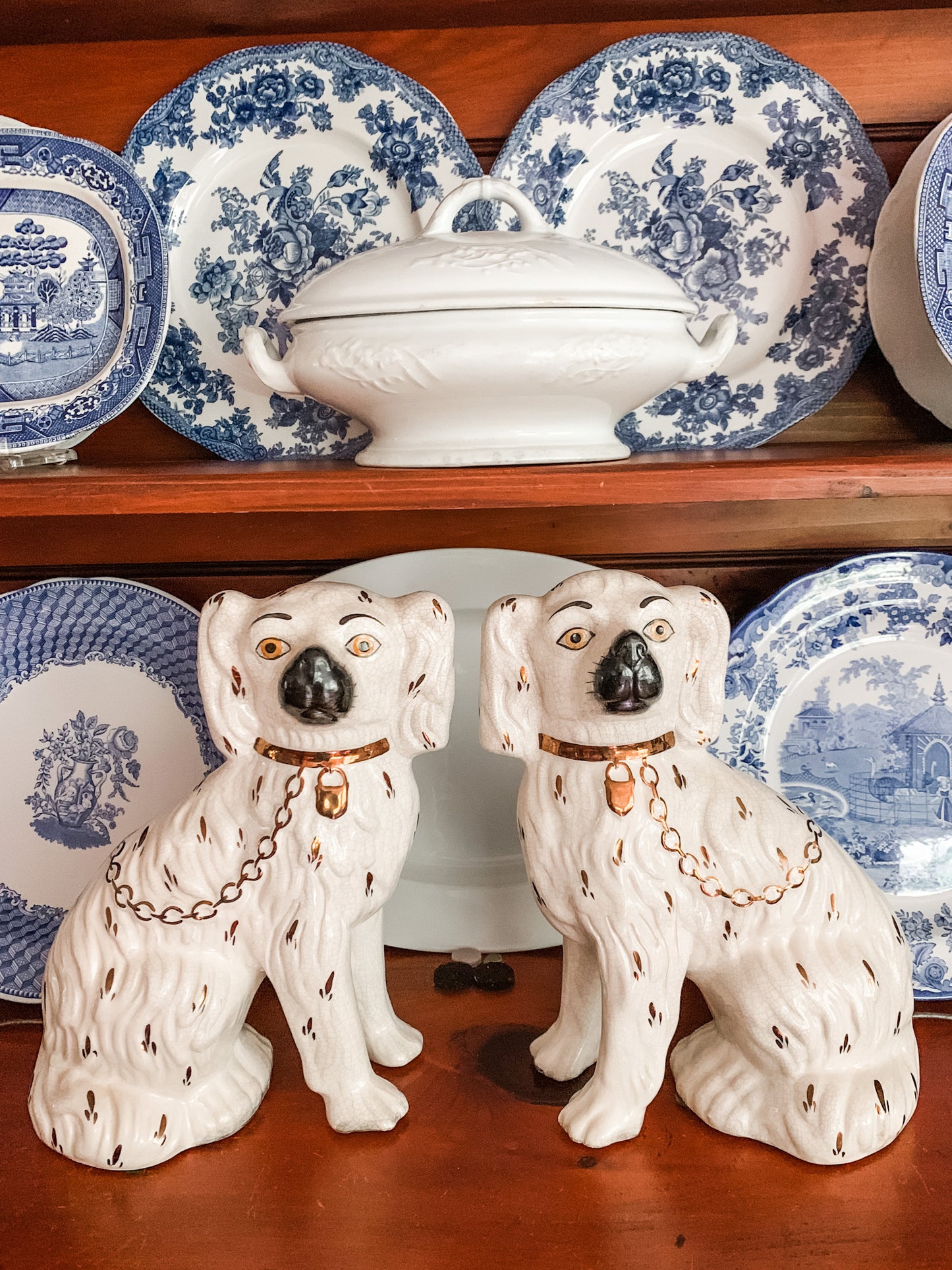 Amazing Staffordshire Dogs from Kent England