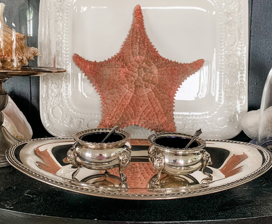 2 Antique English Salt Cellars with Spoons and Trays