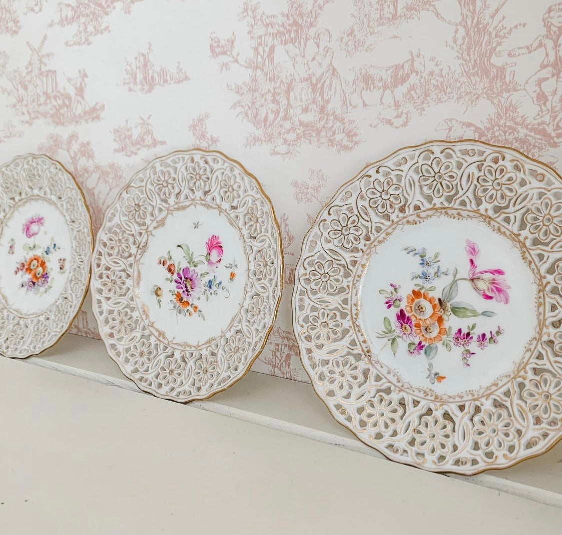 Set of Captivating Dresden Hand-Painted Plates made in Germany