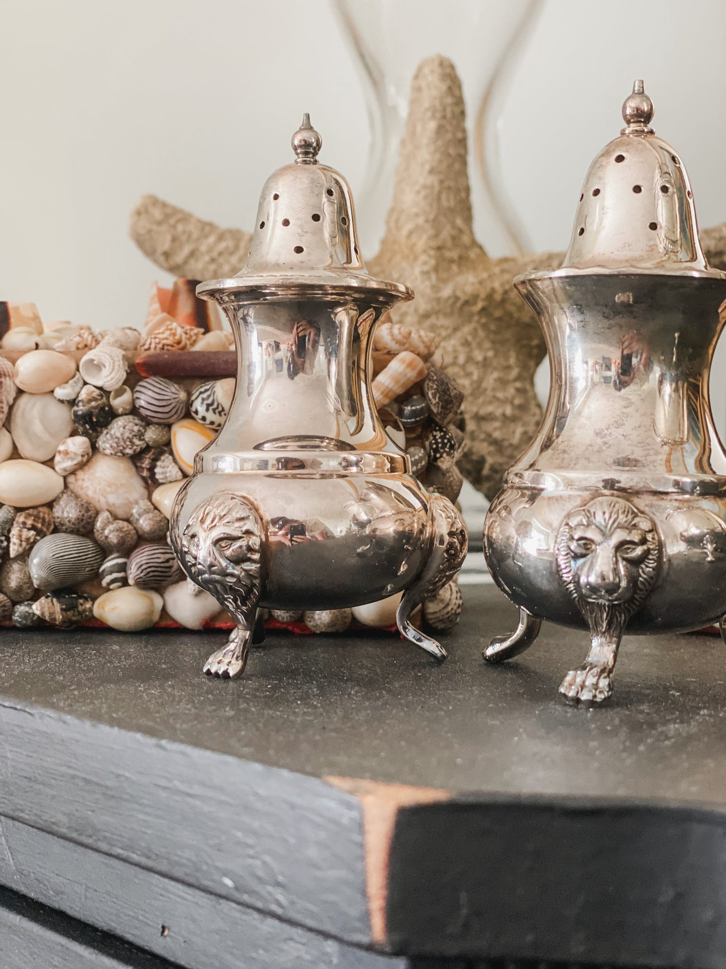 Elegant Salt and Pepper Shakers