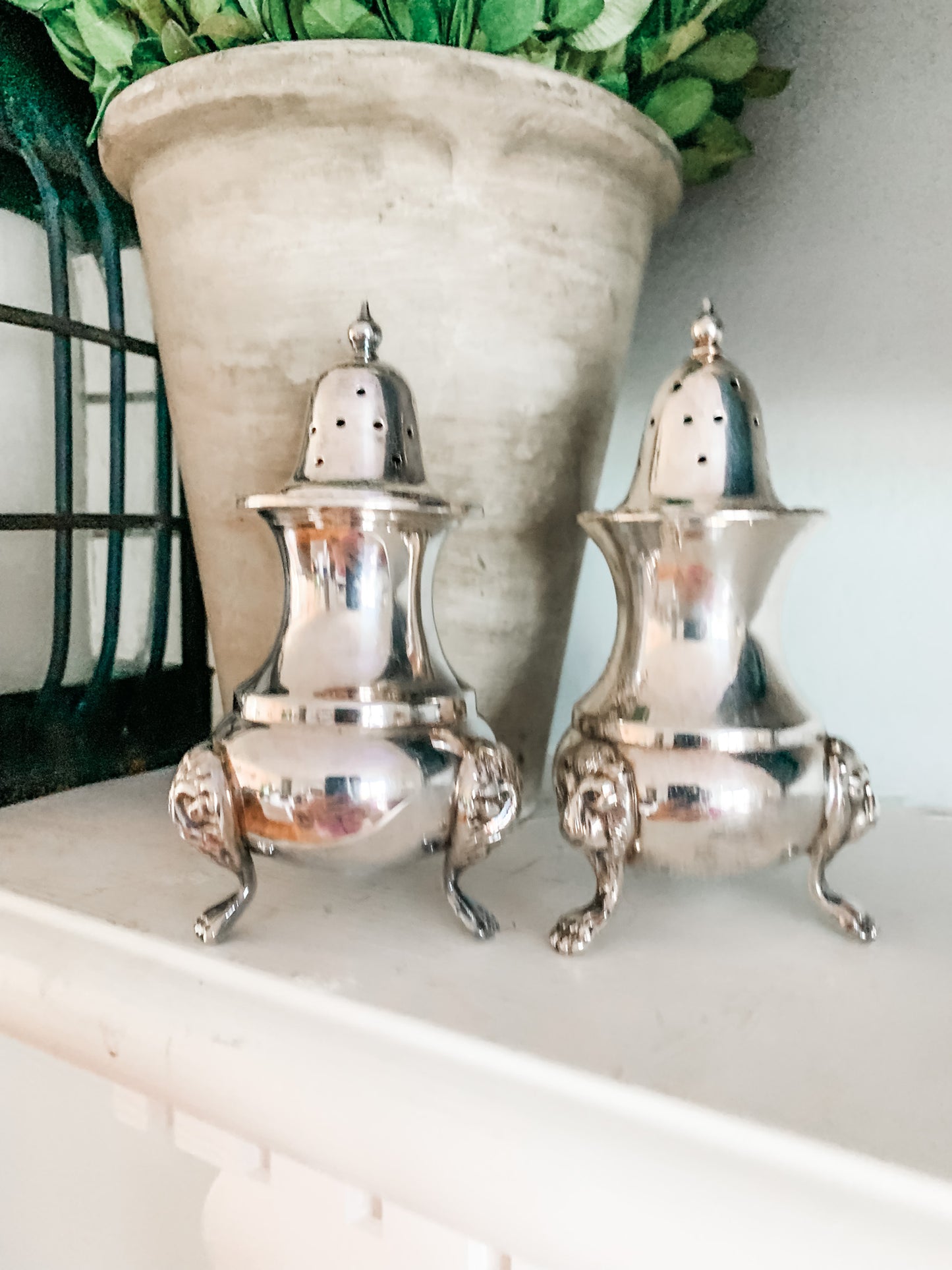 Elegant Salt and Pepper Shakers