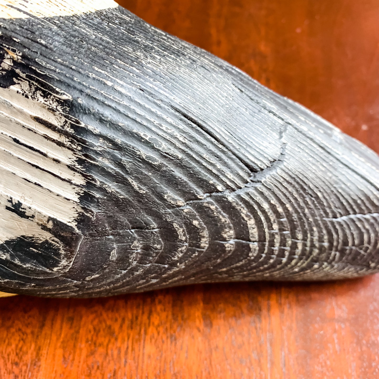 Beautiful Red Billed Duck Decoy, hand carved and signed