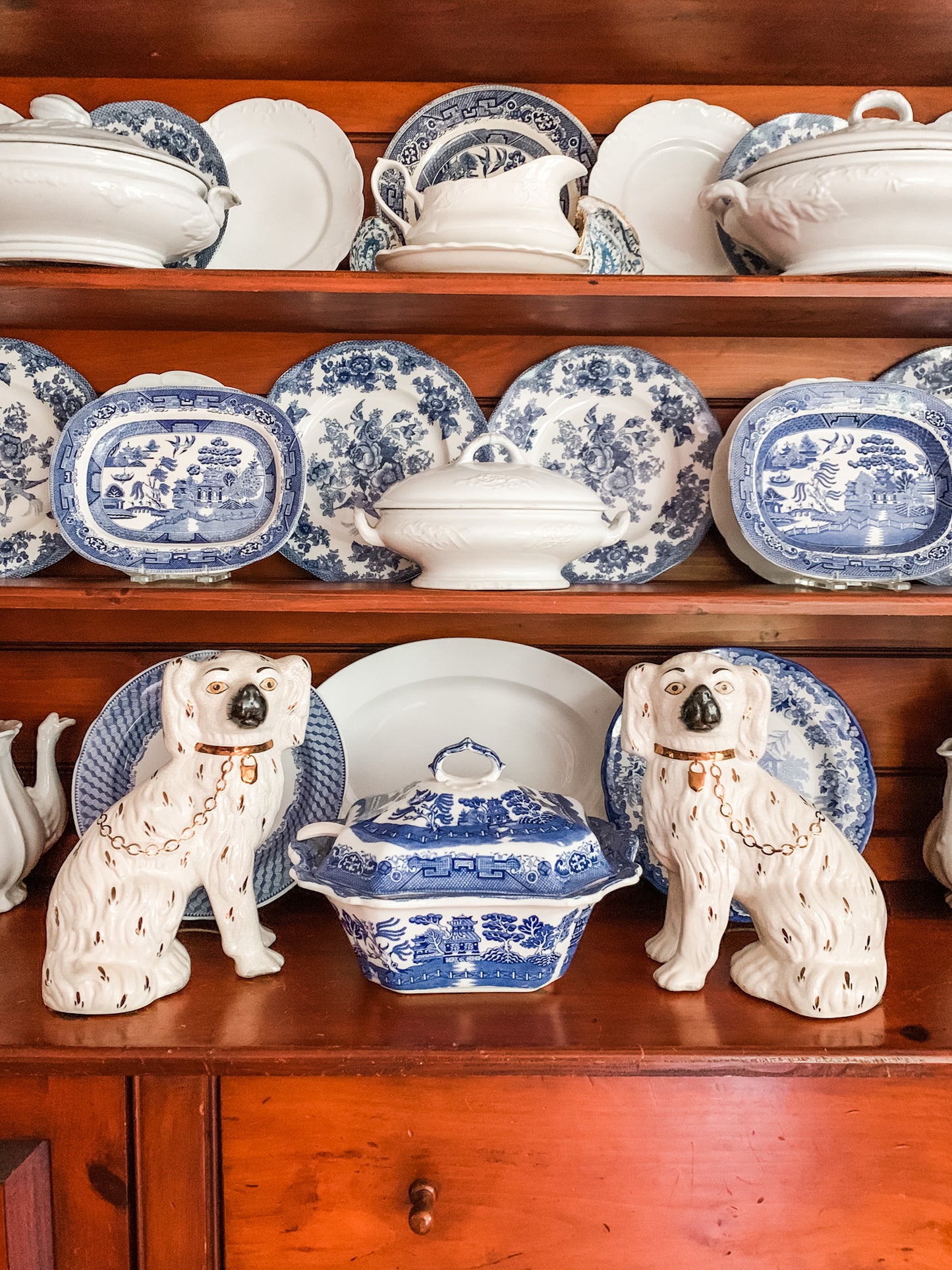 Amazing Staffordshire Dogs from Kent England