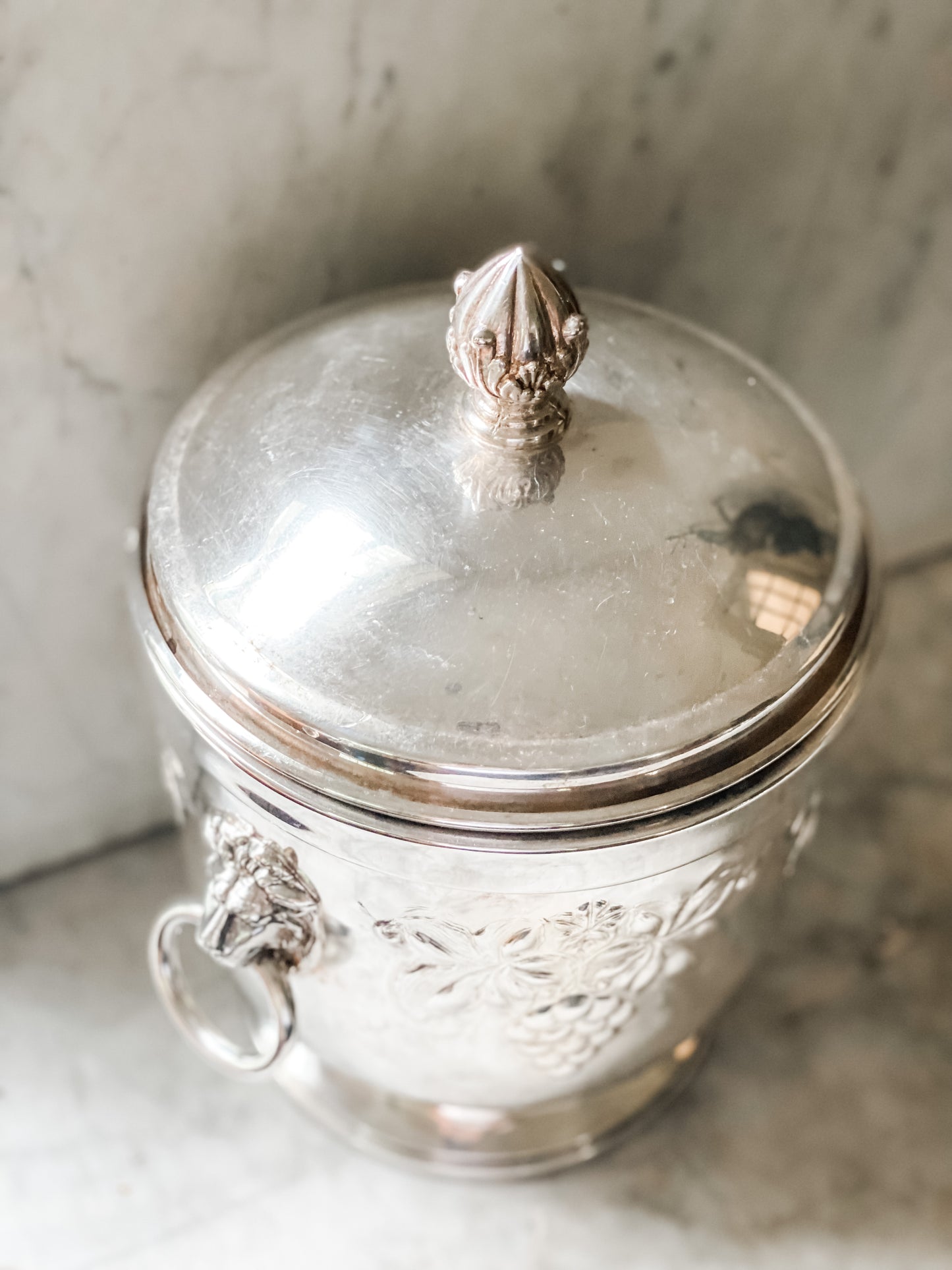 Ice Bucket with Lion Head handles