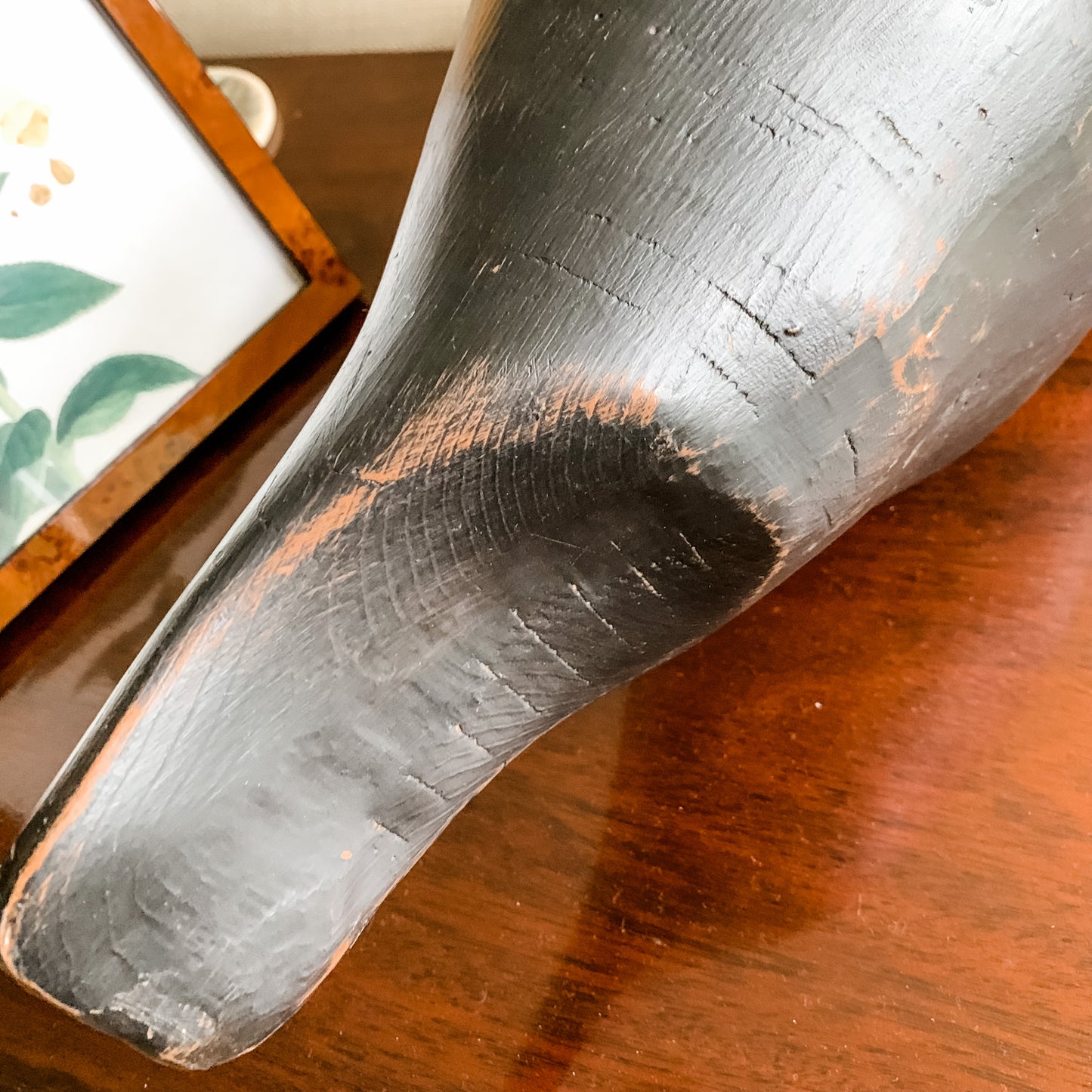 Outstanding Carved Wood Black Swan with Graceful neck