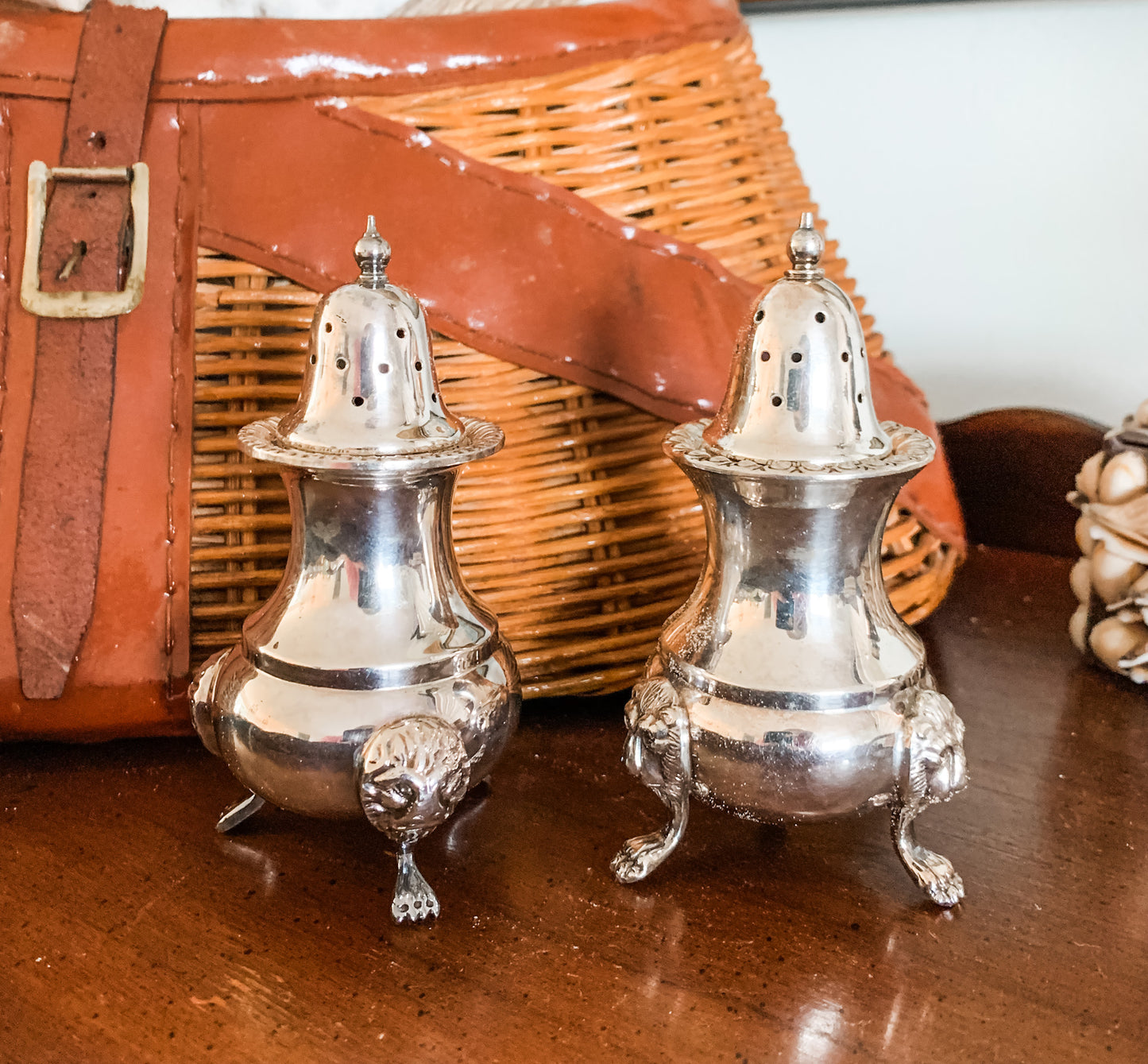 Elegant Salt and Pepper Shakers