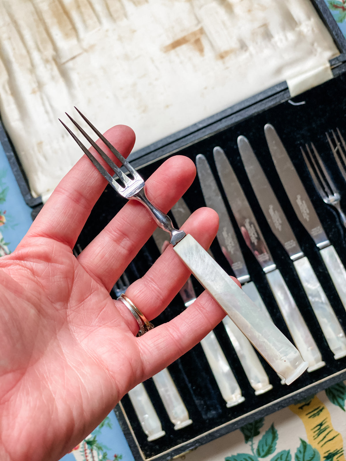 Vintage Thomas W. Cork & Son Sheffield Fruit Set in Case — Service for Six, Mother-of-Pearl Handles