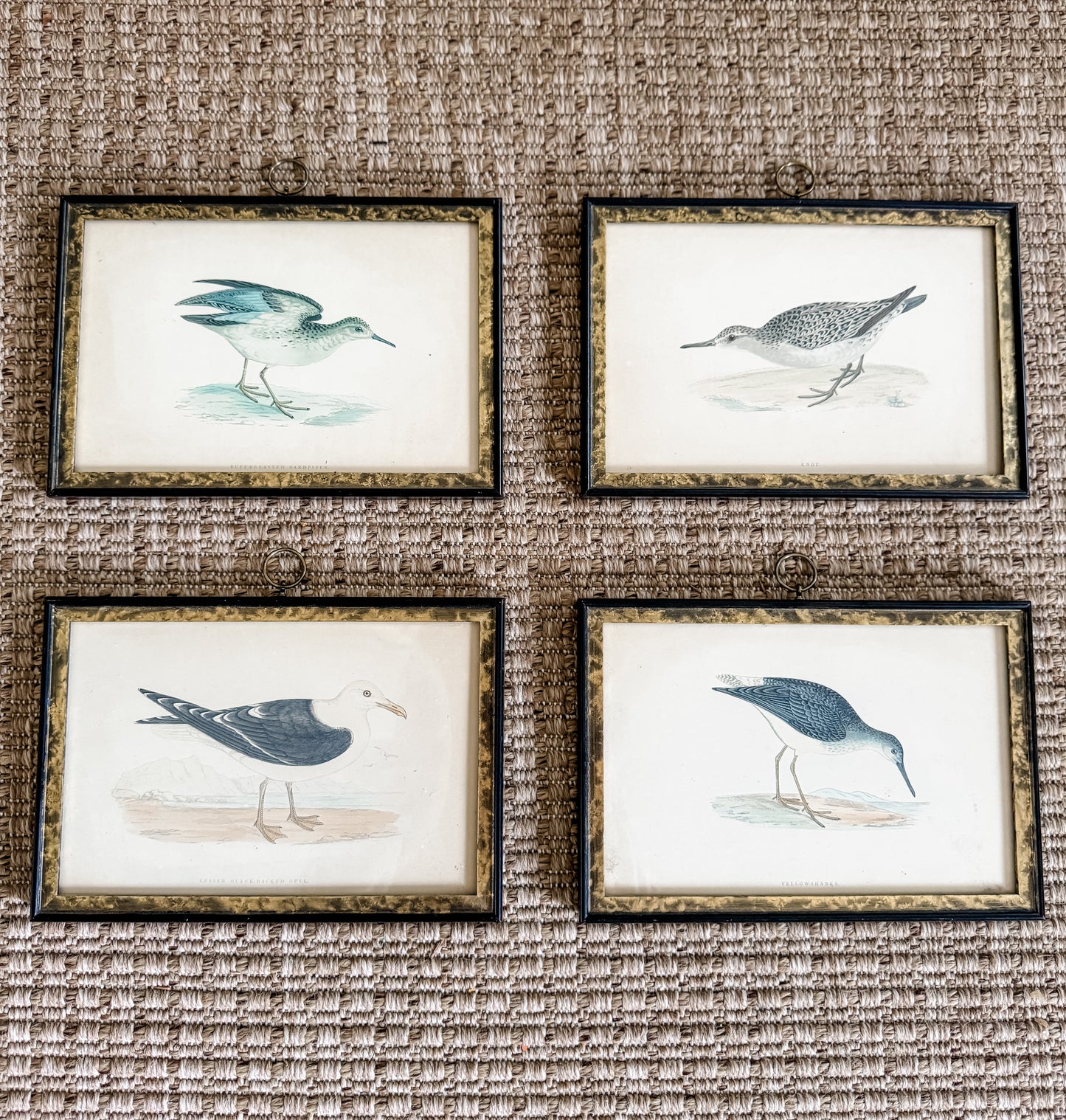 Highly Collectible Framed Antique Alexander Francis Lydon Antique Bird Prints