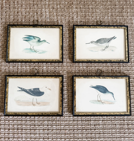 Highly Collectible Framed Antique Alexander Francis Lydon Antique Bird Prints
