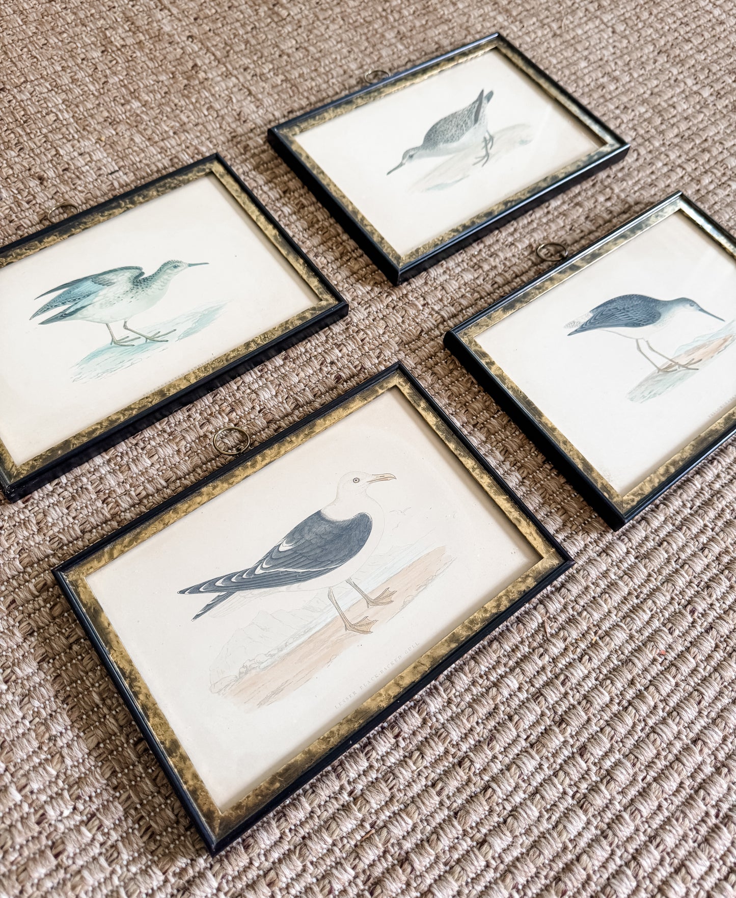 Highly Collectible Framed Antique Alexander Francis Lydon Antique Bird Prints