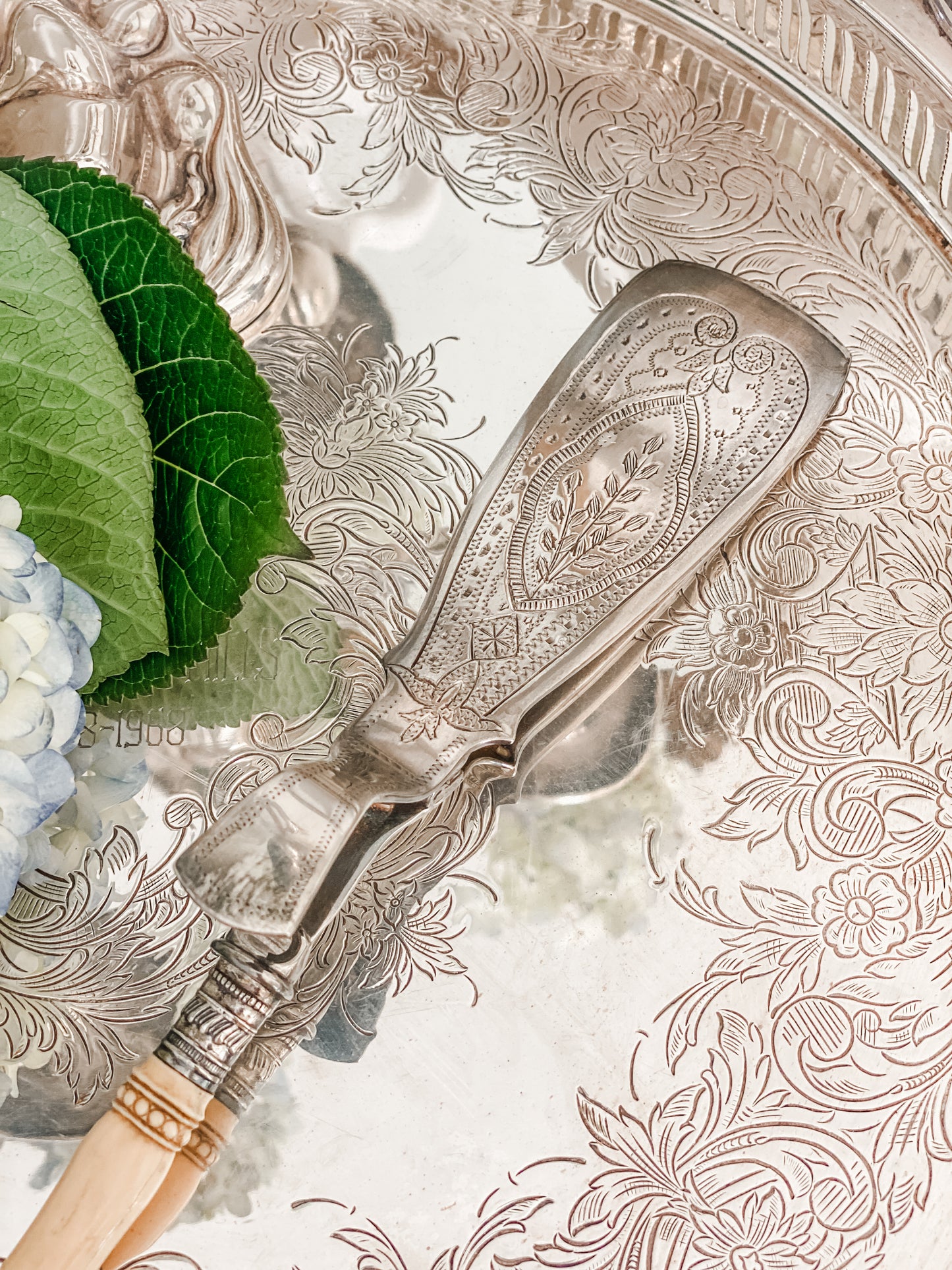 Antique Asparagus Tongs