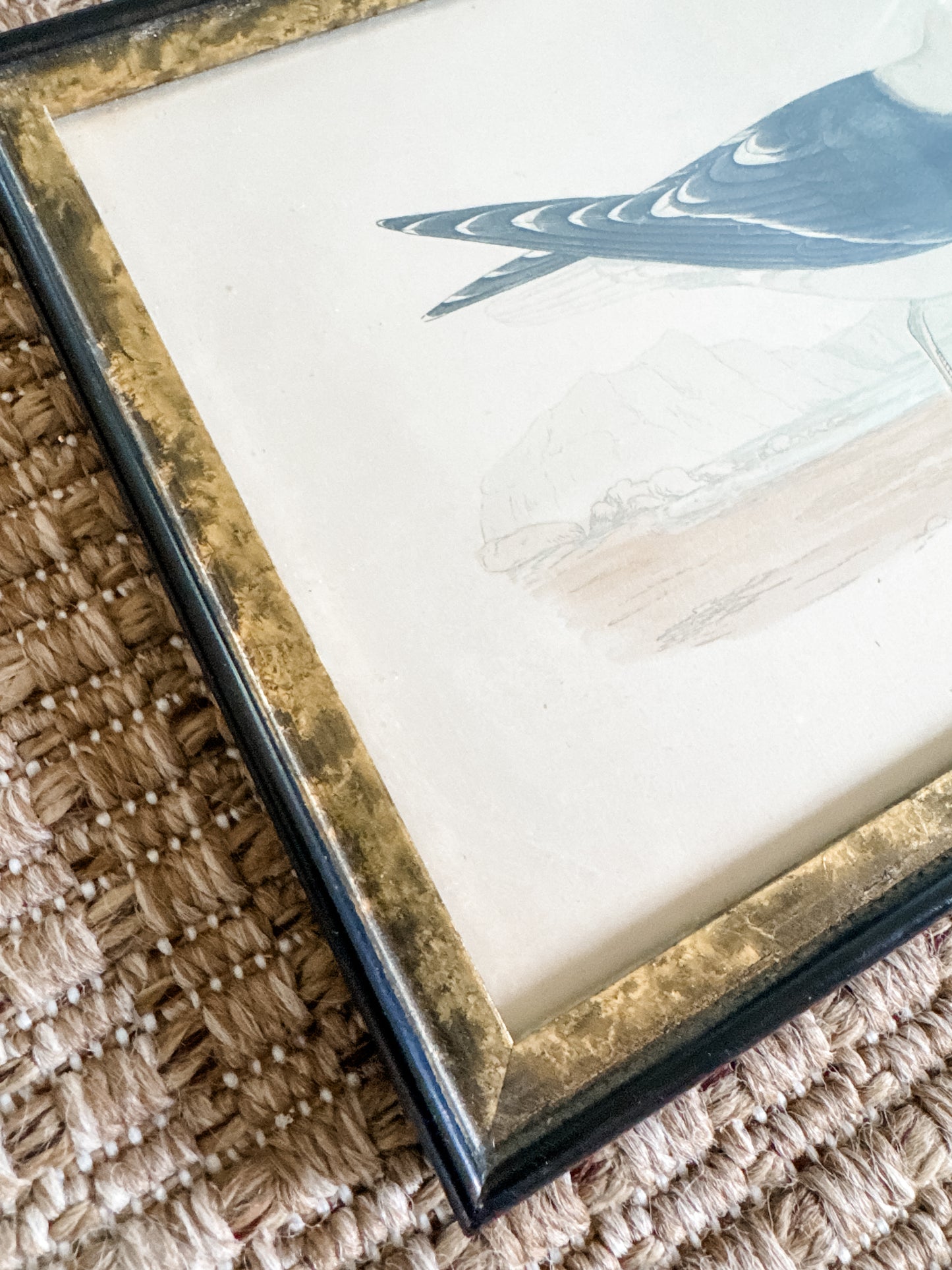 Highly Collectible Framed Antique Alexander Francis Lydon Antique Bird Prints