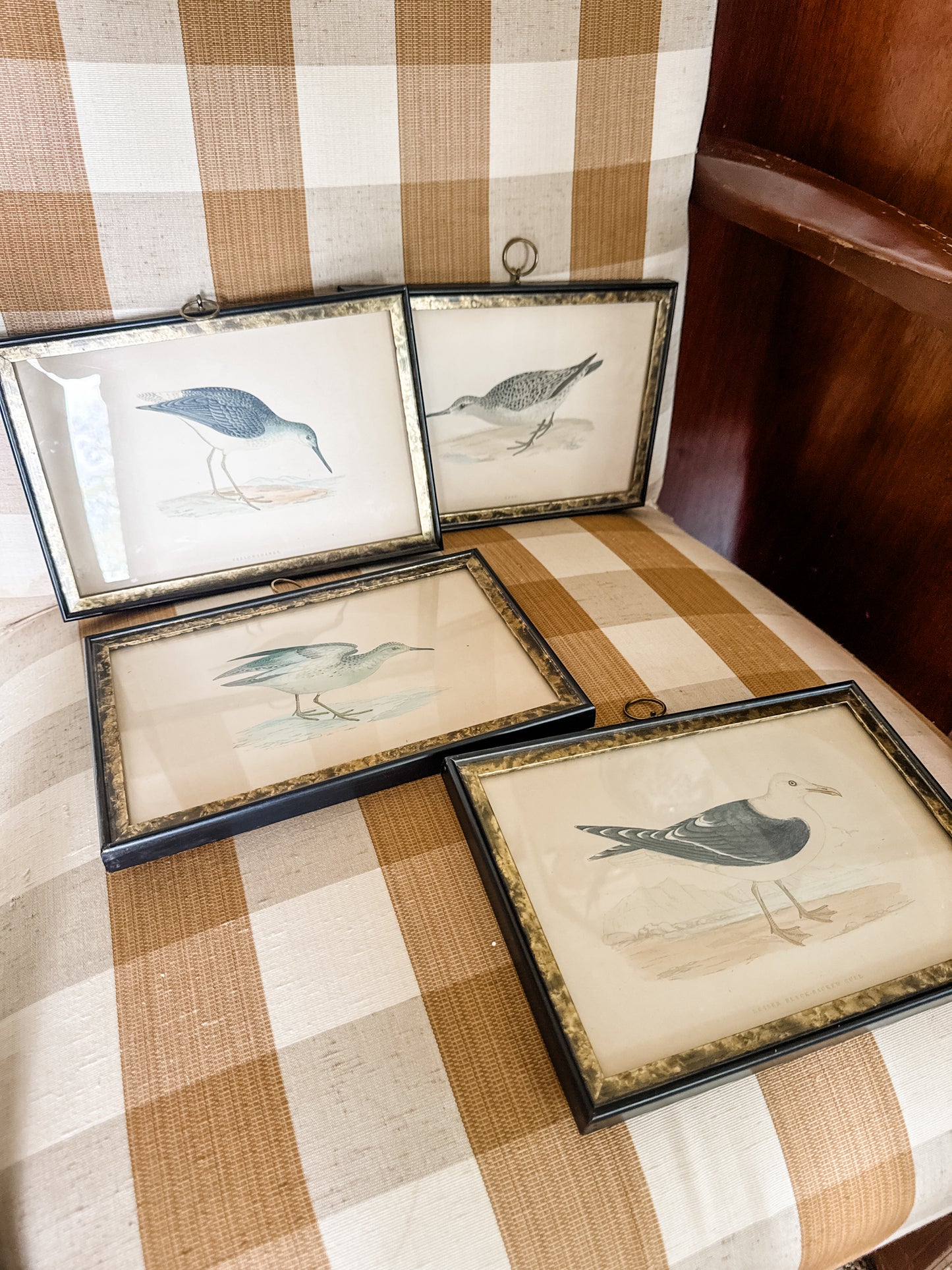 Highly Collectible Framed Antique Alexander Francis Lydon Antique Bird Prints