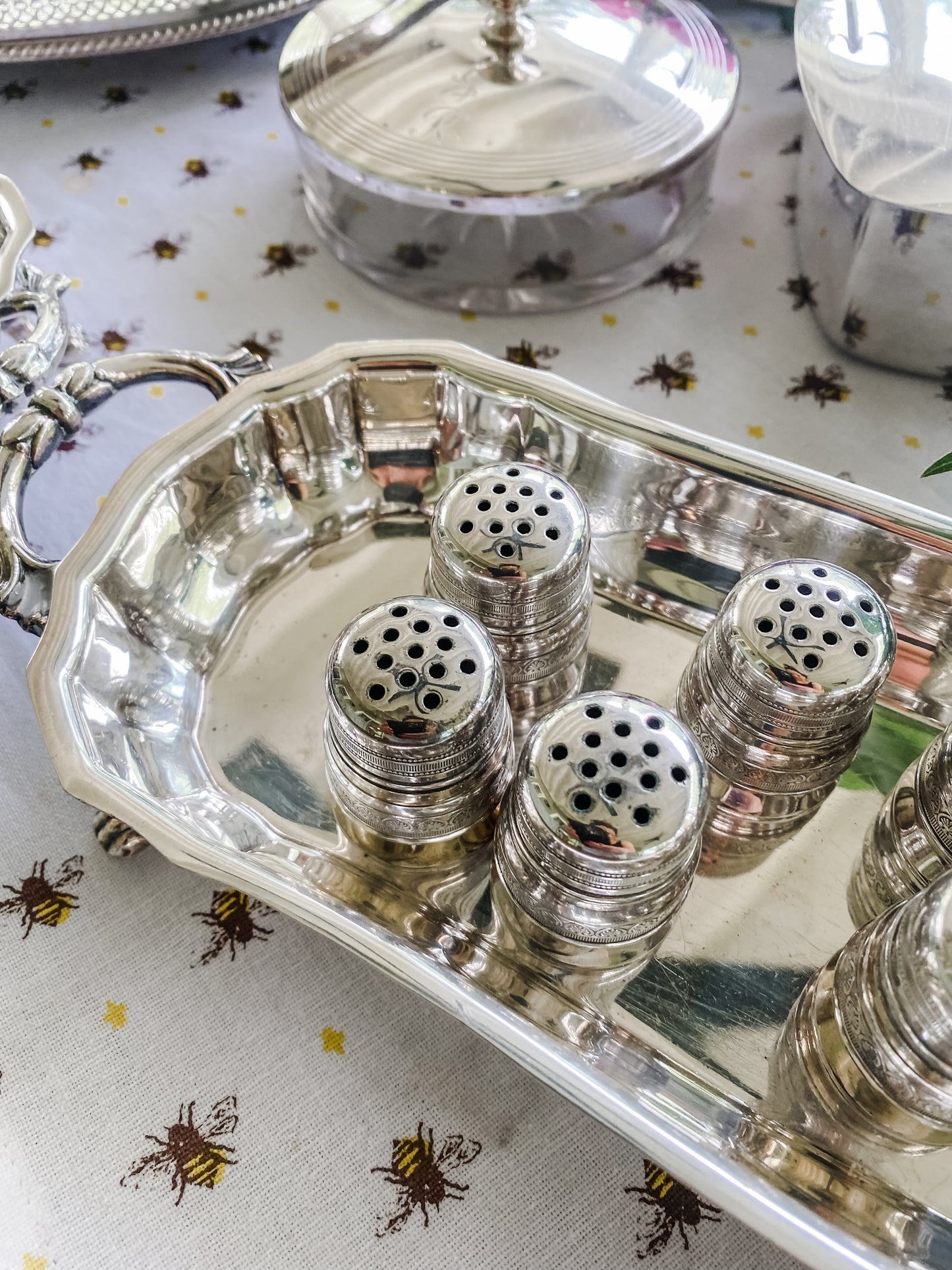 Antique Miniature Salt Shakers Set of 10