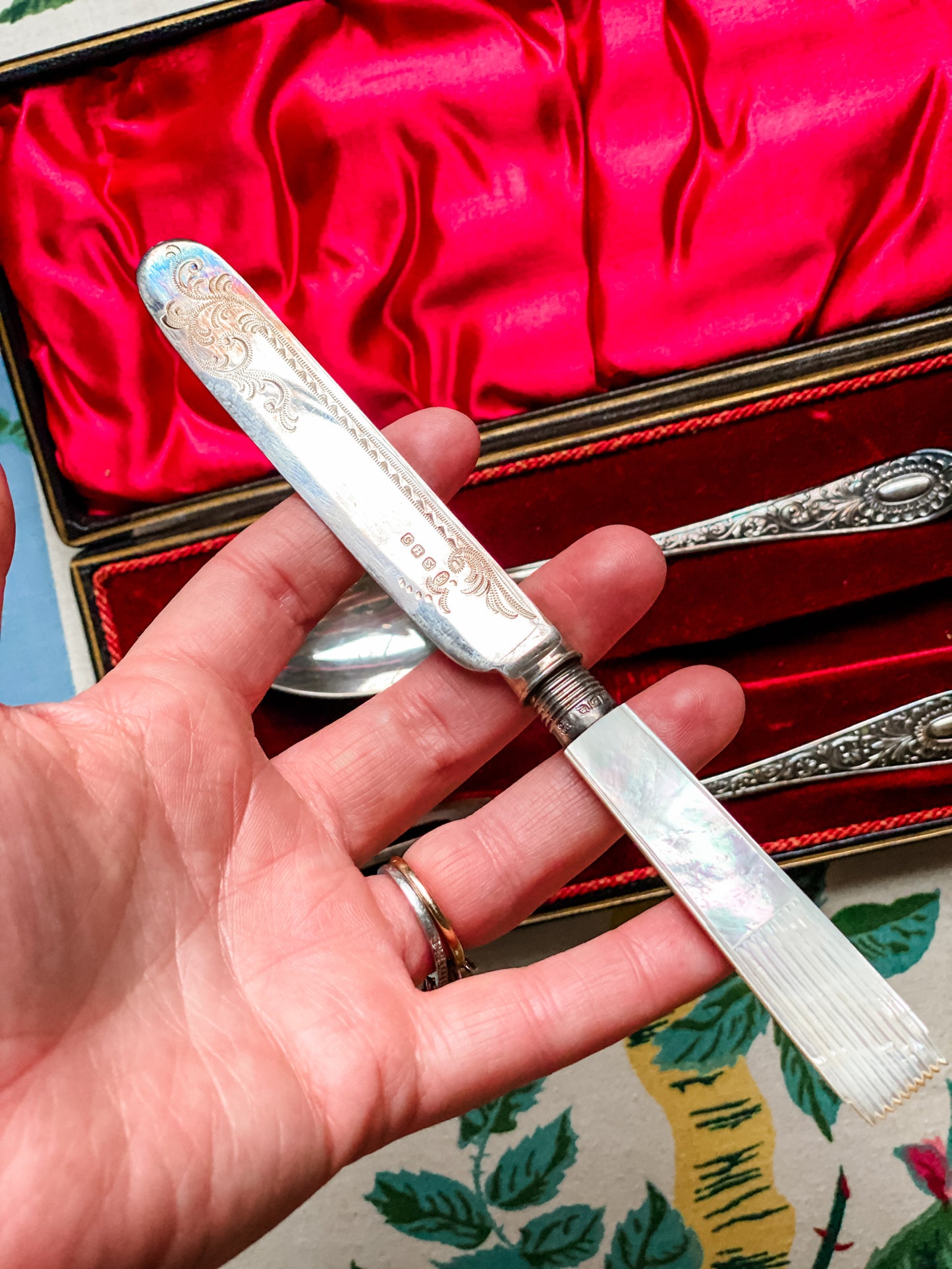 Antique Cooper Brothers Cased Travel Flatware Set — Mother of Pearl Knife w/ Sterling Ferrule