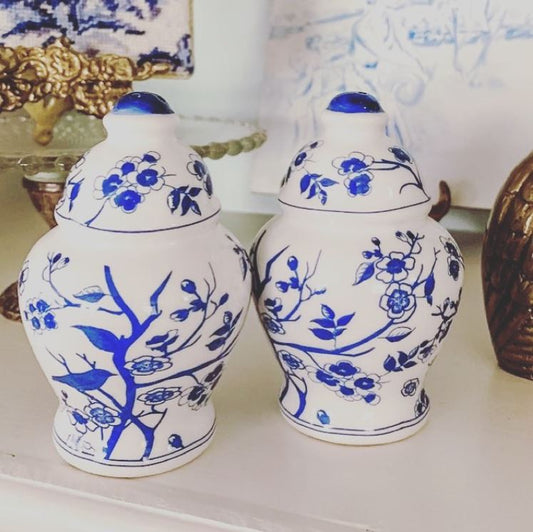 New Salt and Pepper Shakers