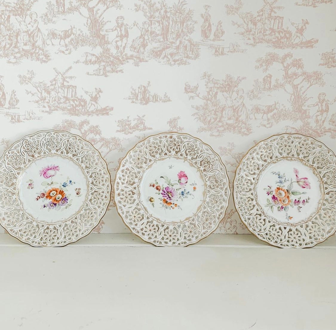 Set of Captivating Dresden Hand-Painted Plates made in Germany