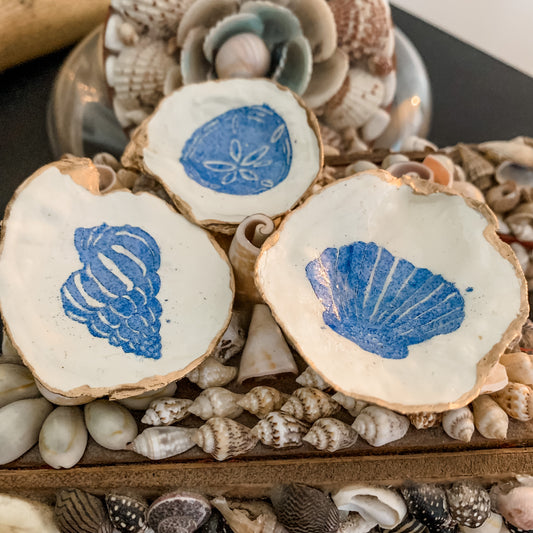 3 Seashell Oyster Shells!