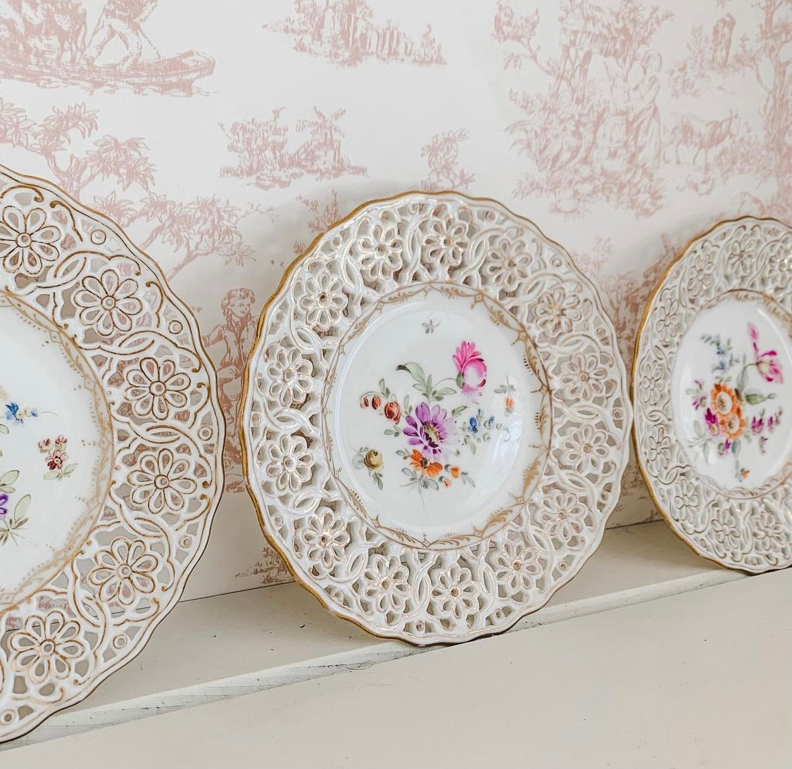 Set of Captivating Dresden Hand-Painted Plates made in Germany