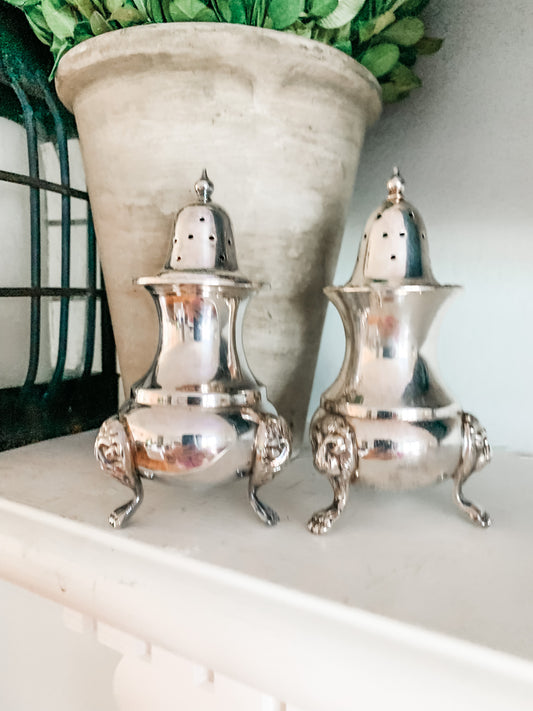 Elegant Salt and Pepper Shakers