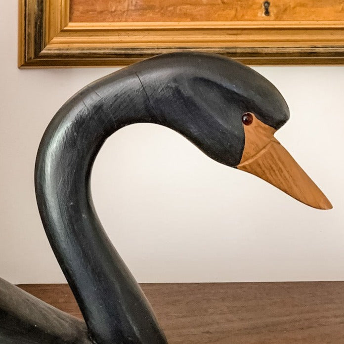 Outstanding Canadian hand carved and signed Black Swan Decoy