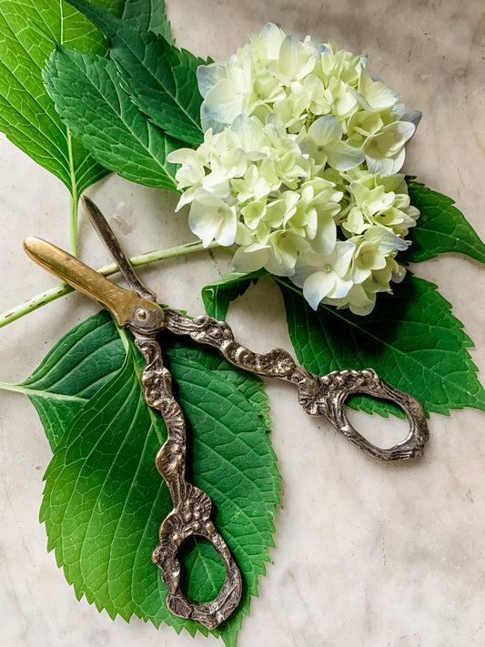 Antique Silver Plate Grape Scissors